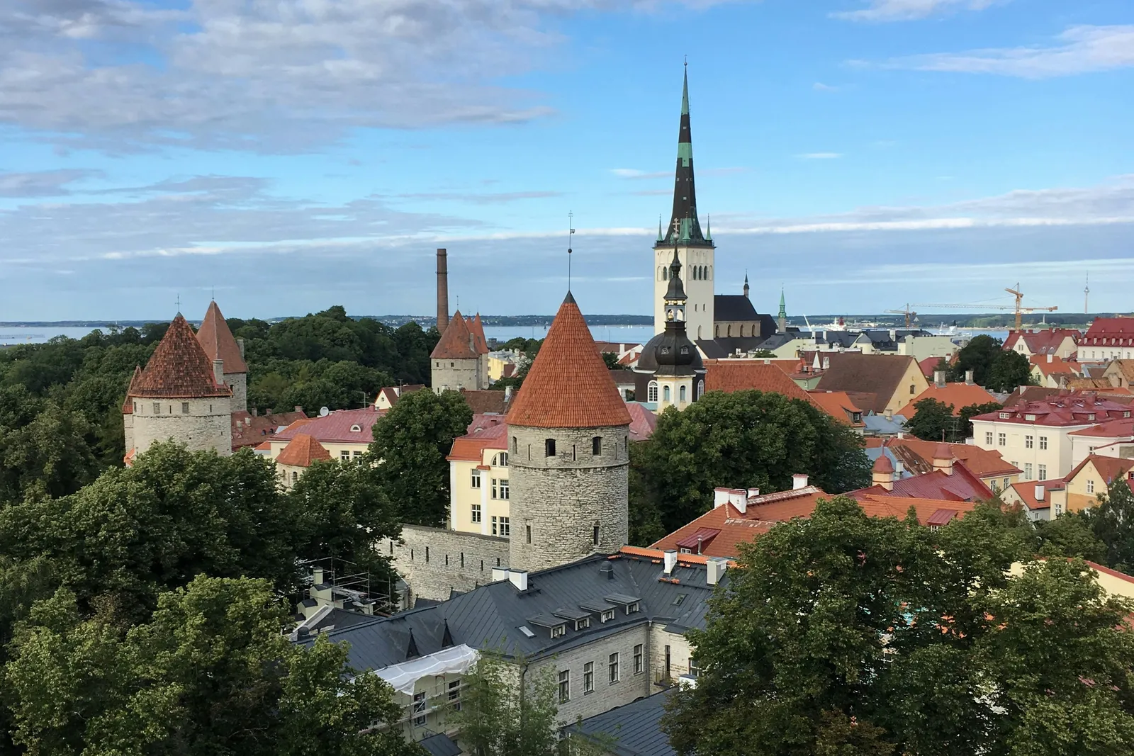 City wall towers and the spire of St Olaf's Church above the rooftops of Tallinn Old Town