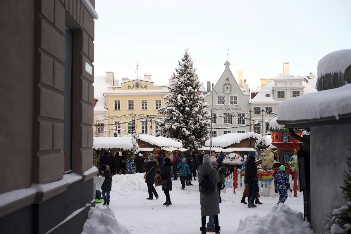 La piazza del Municipio di Tallinn con l'albero di Natale e la neve